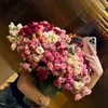 reymir29