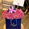 starbox85