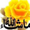 fatmaa.fatma3729