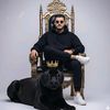 adham.mohamed68