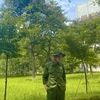nguyendat1312