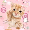 lili_cat83