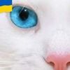 user50qi3du0ry