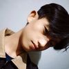 radit_d1tzz