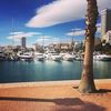 nasserben39