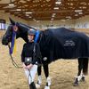 myersdressage