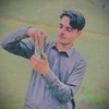 saifullahsahar5