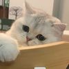 closekikii