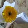 vianne_012920
