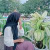 pink__blue0516