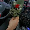 mze_ona6
