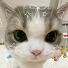 useryoktw3awe3