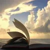 samira84720