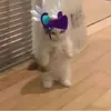 uzumakivincent1