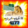 shahid30232tiktok.comsha