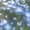 lil_ushi_finds2.0