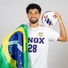 goose_desouza