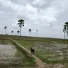 mamadousaliouba305