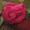 user9tbqwqi708