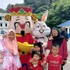 arfa_3505