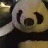 s4mu3l.b3lm0nt