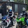 useryu99elodgs