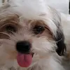 diannevictoria3