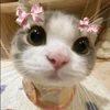 welove_sha17