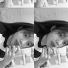 cntarlyz