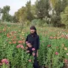 latef.zarayani