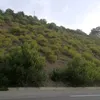 omarandi03