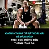 trng.dng697