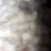 renatodossantos160