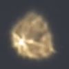 fyp2028