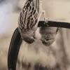 e.7.5.1