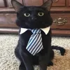 gabrieljudjeofhell