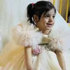 sonyanasr
