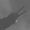 ituu_aaja