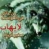 user3833412476037