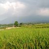inyikbala