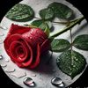 muhammad.yamman.11