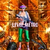 levee_metro