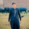 malikbilal_804