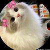 princessbeuty16