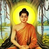 Tâm Hướng Phật