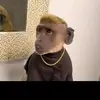 ehdhdhejejsjdjdnfb