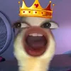 zyaaee