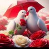 user9114006167825