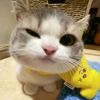 user310507705013