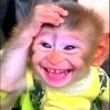cowokganteng263